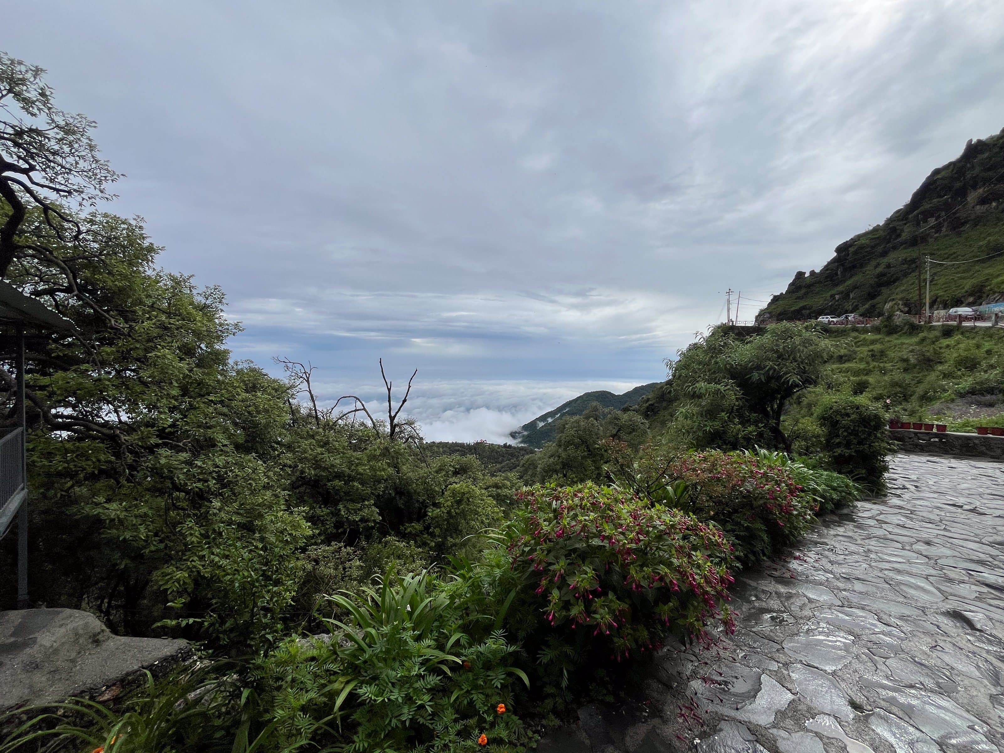 From the ground-floor garden at Shail Shikhar, a sea of cloud fills the Doon valley below