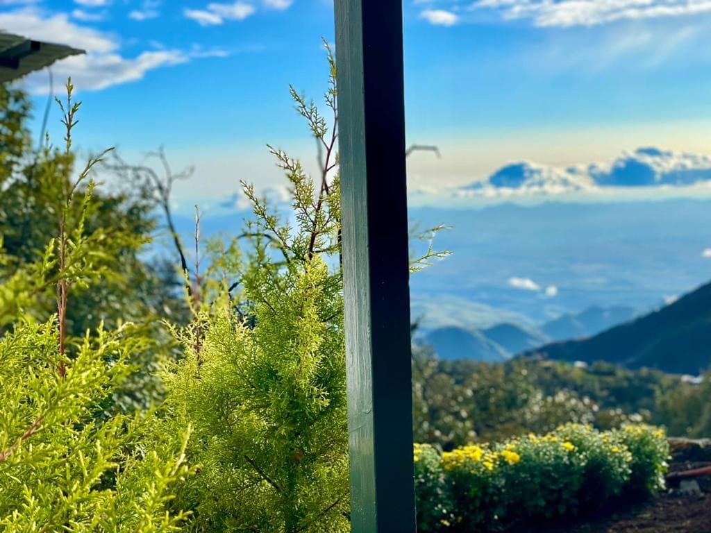 Garden foliage and the distant Himalayan range on a clear morning, viewed from Shail Shikhar